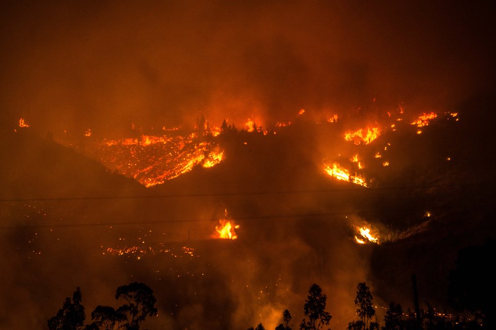 أسوأ حريق غابات في تاريخ تشيلي وتأثيره على سعر لب الزغب