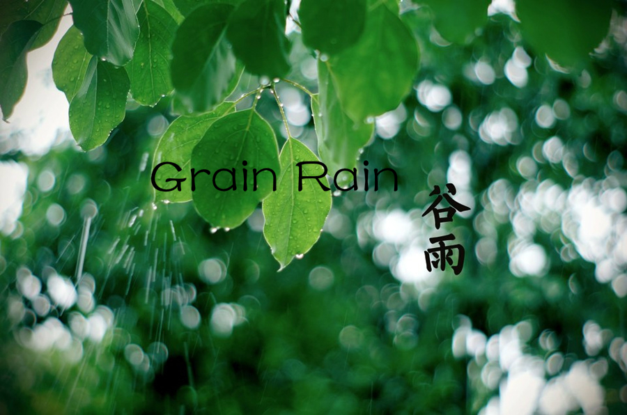 Culture Insider: خمسة أشياء قد لا تعرفها عن Grain Rain